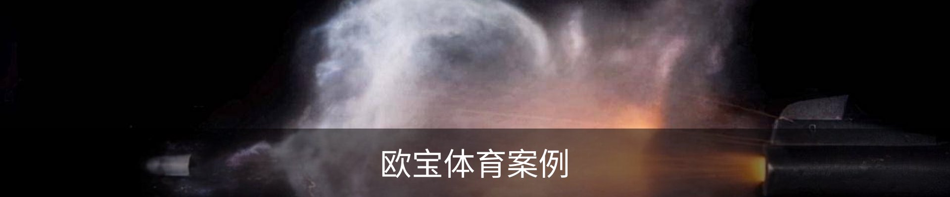 欧宝体育案例